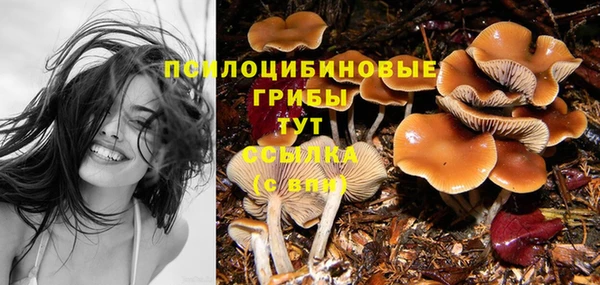 каннабис Алзамай