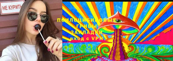 spice Алексин