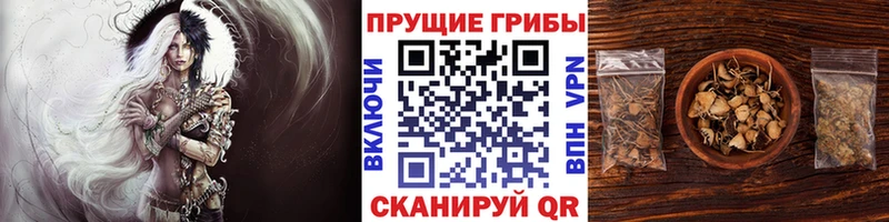Галлюциногенные грибы ЛСД  kraken как зайти  Сим  купить закладку 